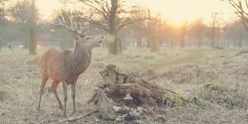 97COS13:从入门到精通的Cosplay角色扮演完全指南