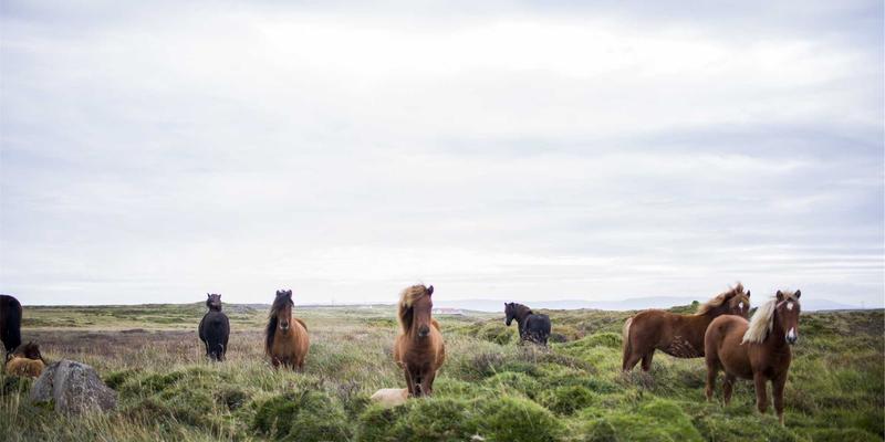 97COS41：从入门到精通的Cosplay实战教程与动漫文化深度解读