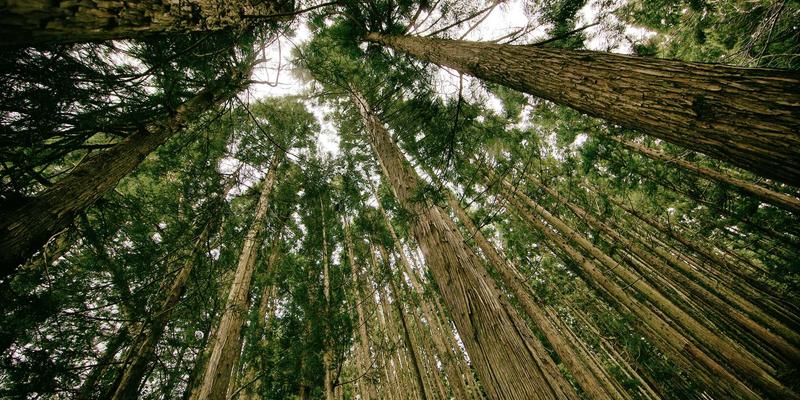 97COS53：一场连接次元壁的盛会，动漫文化与Cosplay的深度碰撞