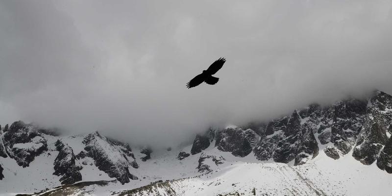 97COS70:当数字密码遇见次元壁,解码动漫角色扮演的文化基因