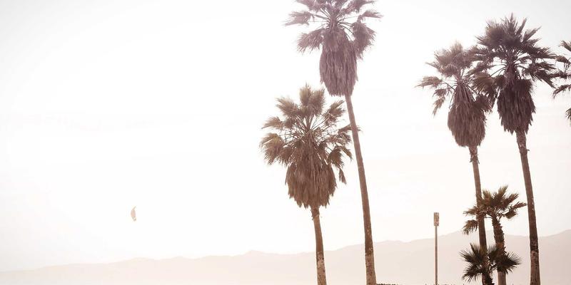 97COS71：解码数字背后的角色扮演新浪潮与ACG次元文化