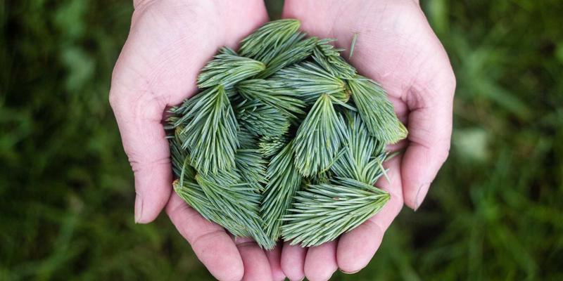 97COS声音演绎训练：从动漫资讯到实战，掌握角色声线与语气匹配的ACG秘籍