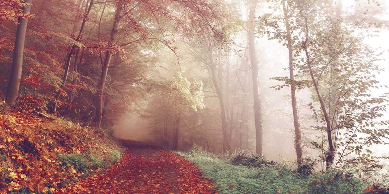 97COS是什么？深度解析动漫文化中的独特现象与社群生态