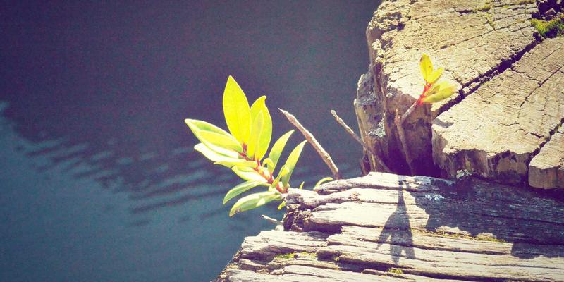 从97COS15看二次元文化的破圈之路:Cosplay如何成为连接虚拟与现实的桥梁