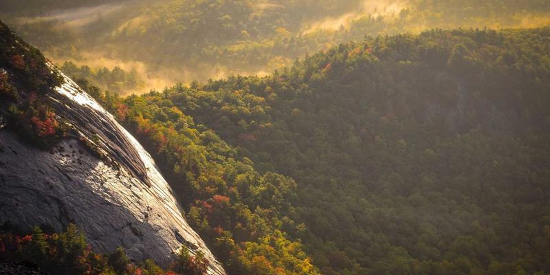 从零到一：97COS社群运营全攻略，打造本地角色扮演同好社团